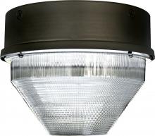 Dabmar DW8720-MT - MED ROUND CEILING FIX 70W HPS MT