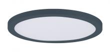 Maxim 57592WTBK - Chip-Utility Items