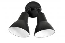 Outdoor Directional Lights