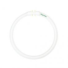 CIRCLINE