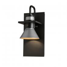 Hubbardton Forge 307716-SKT-80-78 - Erlenmeyer Dark Sky Friendly Outdoor Sconce