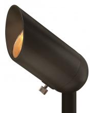 ACCENT SPOT